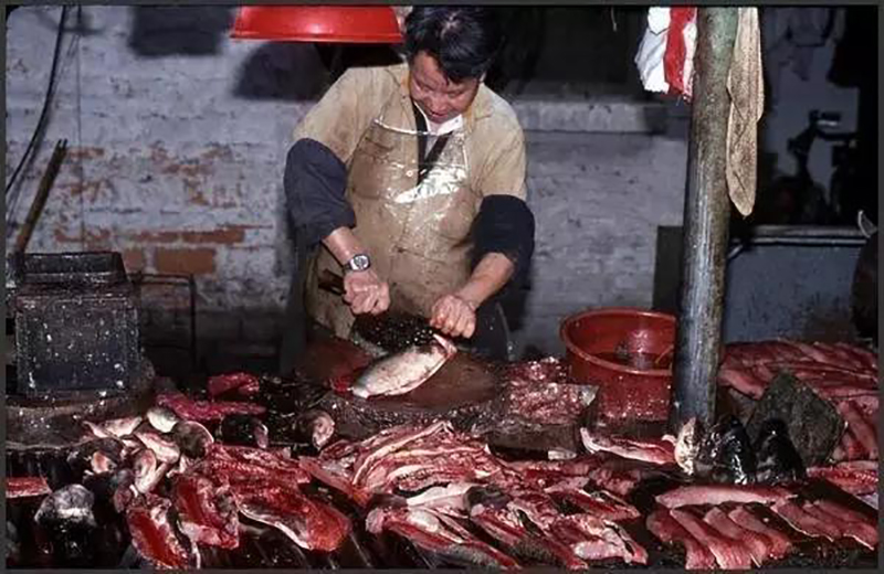 何老板萬萬沒想到，自己的餃子云吞店開業(yè)的第一天就門庭若市